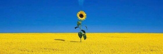 Loud Mouth Fella banner