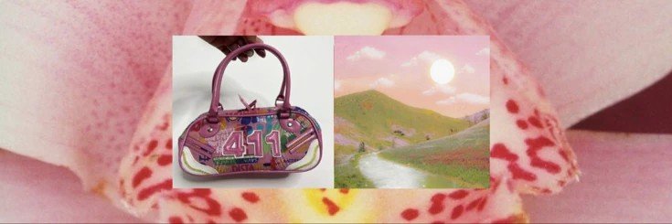 fisheerz's profile banner image