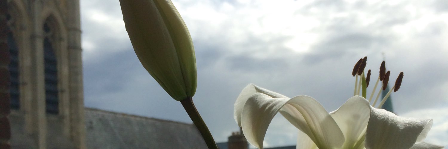 DALiiACosmetics's profile banner image