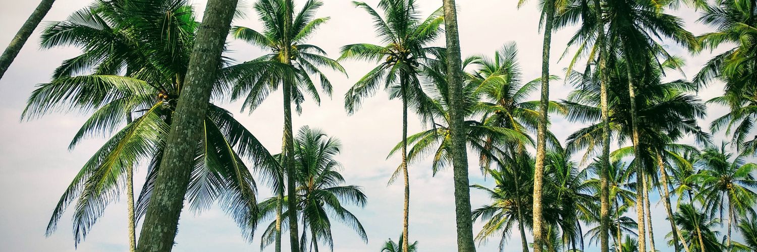 elisamz's profile banner image