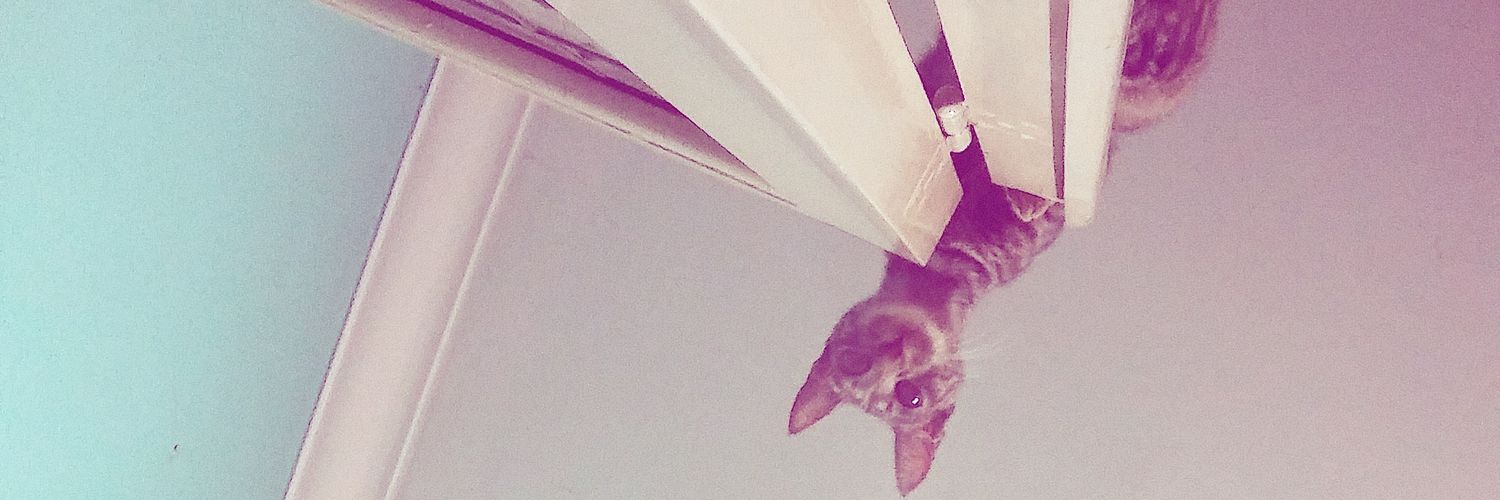 Lucilaxoxo's profile banner image