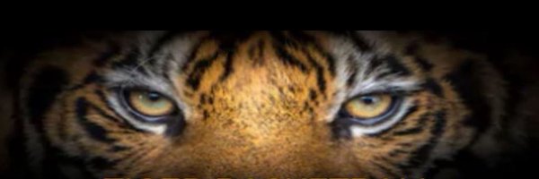 28loganstarnes Profile Banner