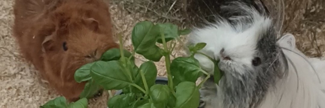 Mamalicious87's profile banner image