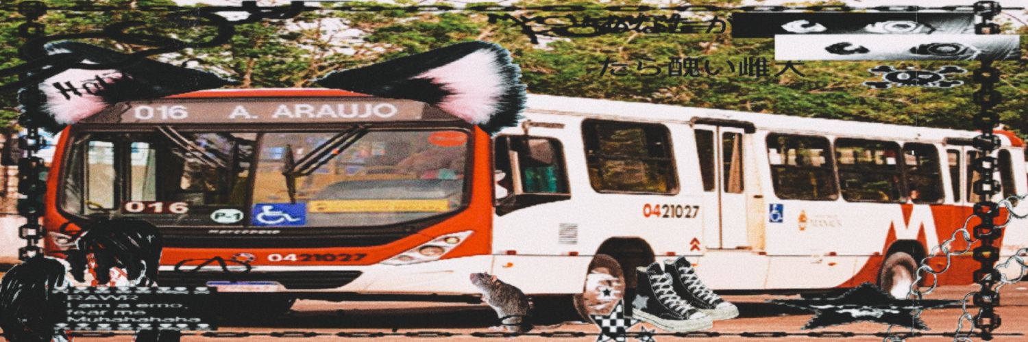 acervo 016 ᥫ᭡.🍥⋆🚌་༘🌷.ೃ࿔ banner
