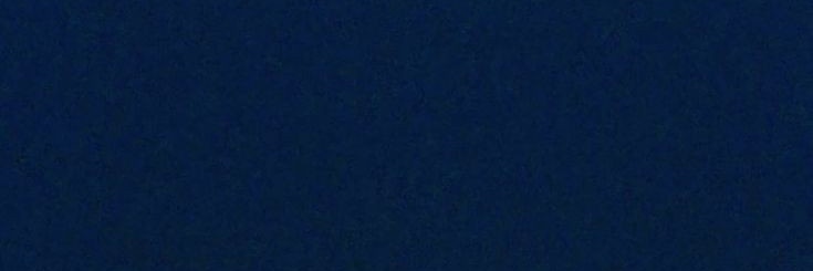 Bri Blue banner