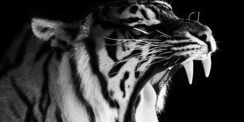 AlePuerto92's profile banner image