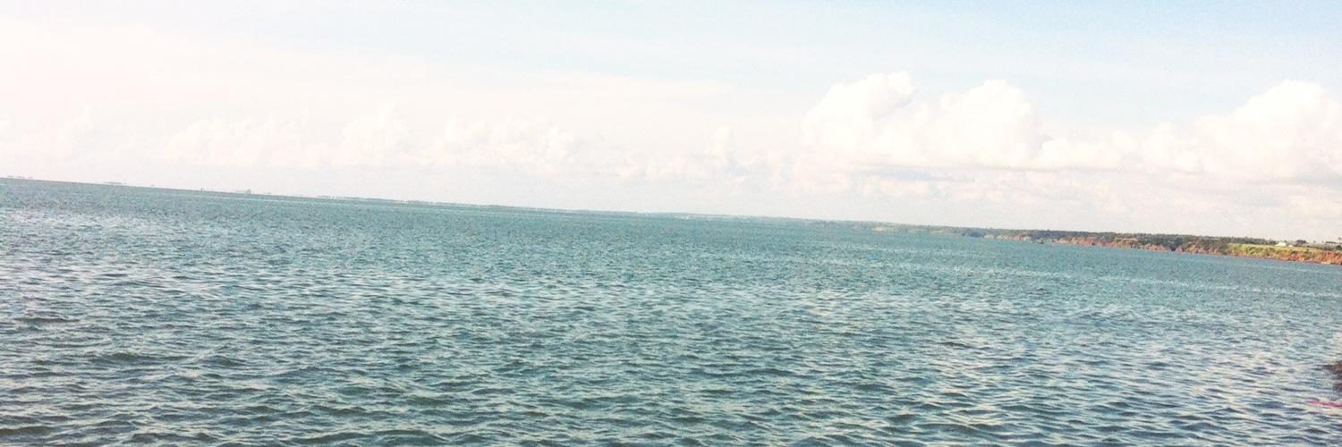 carolsena_'s profile banner image