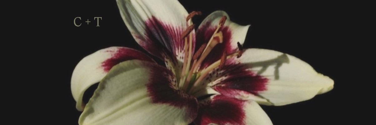 𝐇𝐮𝐧𝐭𝐞𝐫🜲 banner