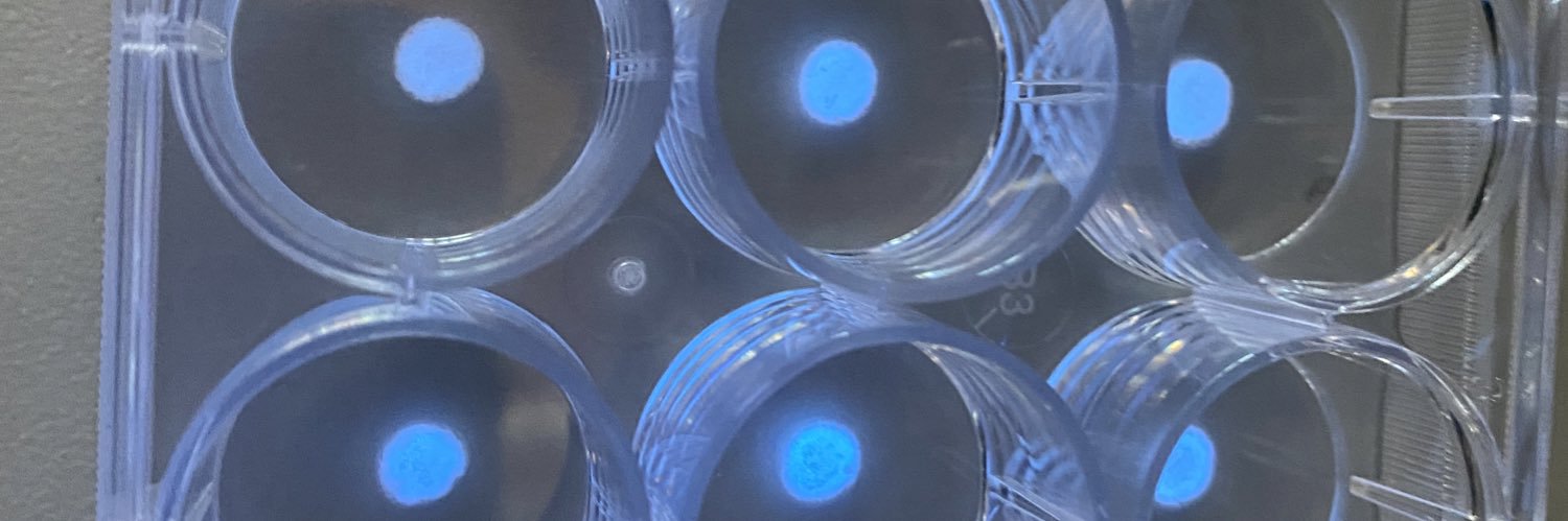 Mitch Sanders, PhD banner