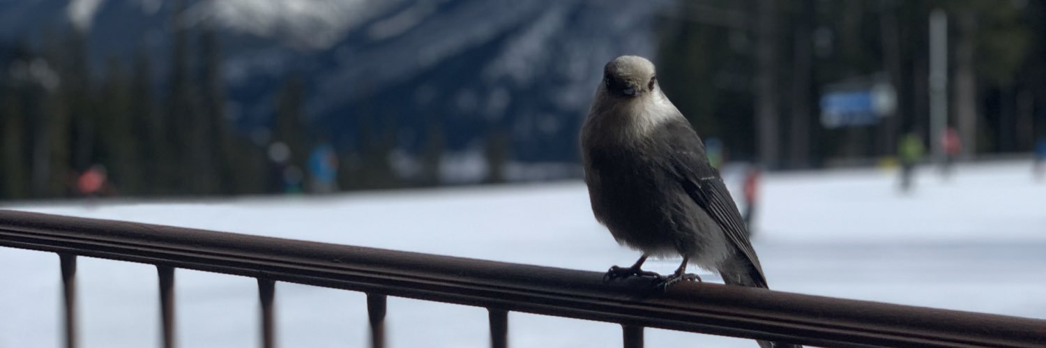 jerhen21's profile banner image