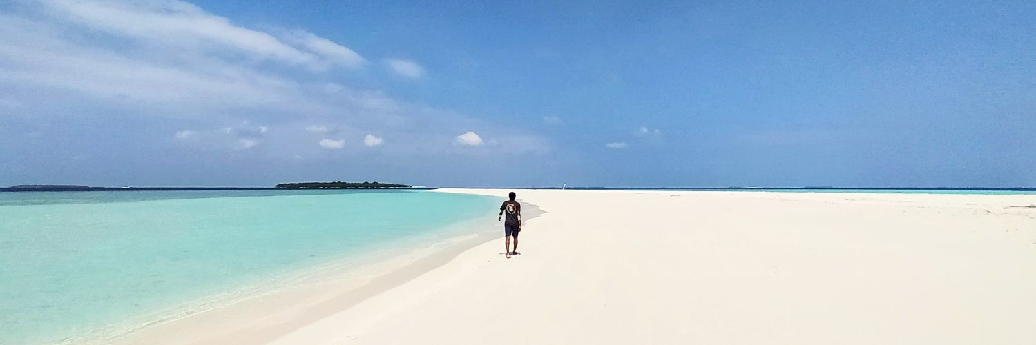 aliarushid's profile banner image