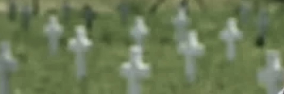 BONES's banner