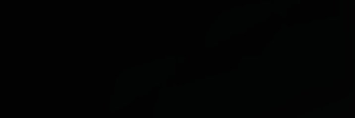 TeamSESH's profile banner image