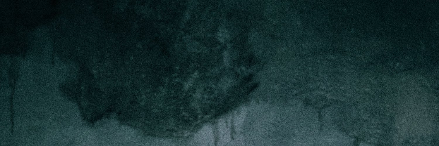 TeamSESH's profile banner image