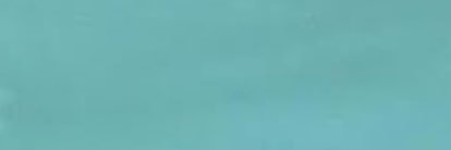 el⋆˚꩜｡'s banner