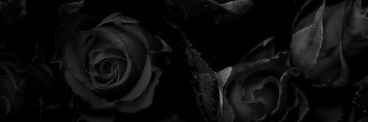 kenselyeverly banner