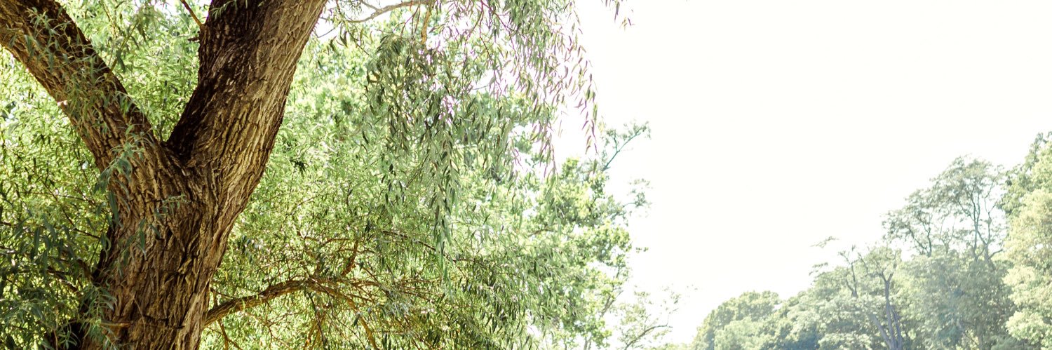 kendragrub's profile banner image