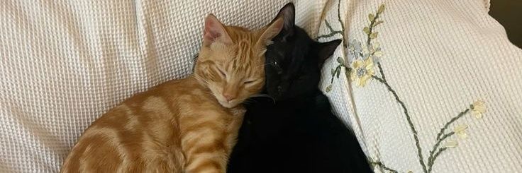 ai loves sea 🌊 banner