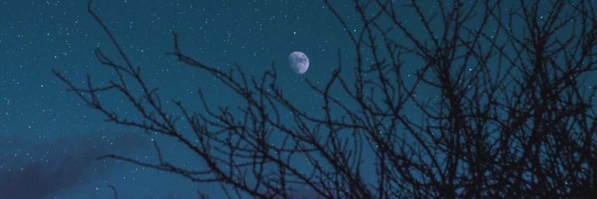 ina_sh98's profile banner image