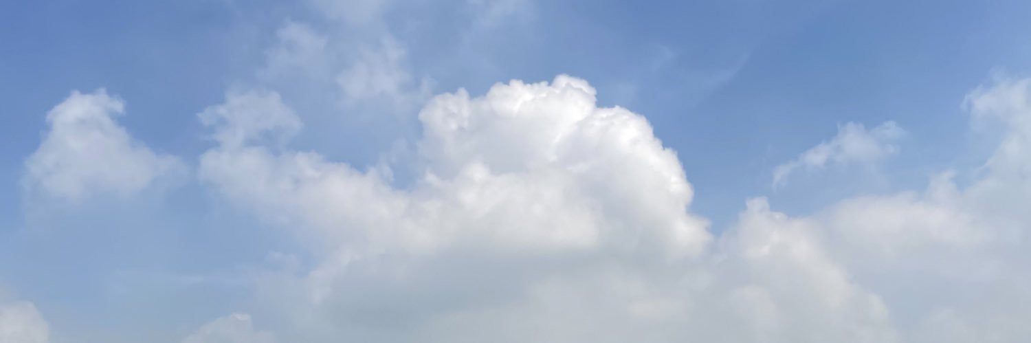 arin banner