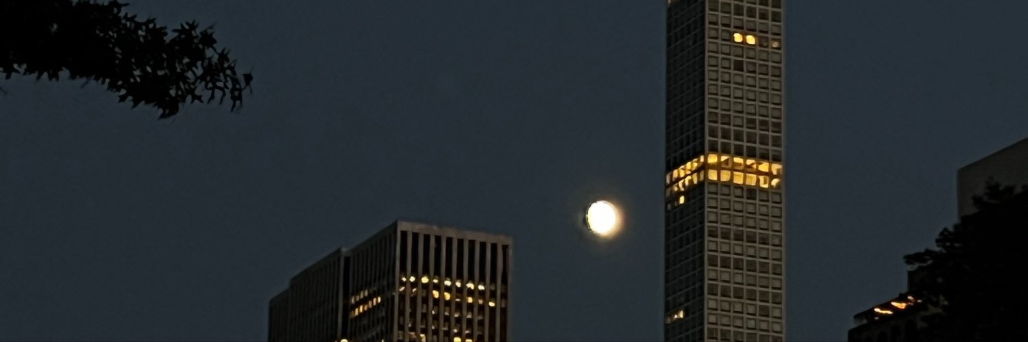 nikibooboo3's profile banner image