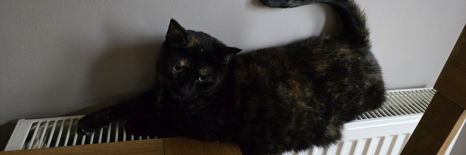 HeatherG_'s profile banner image