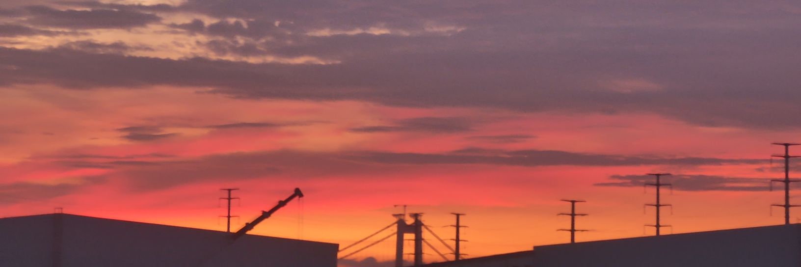 Z_ylog's profile banner image