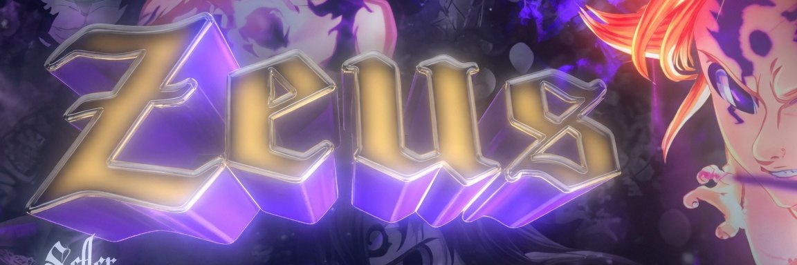 zs banner