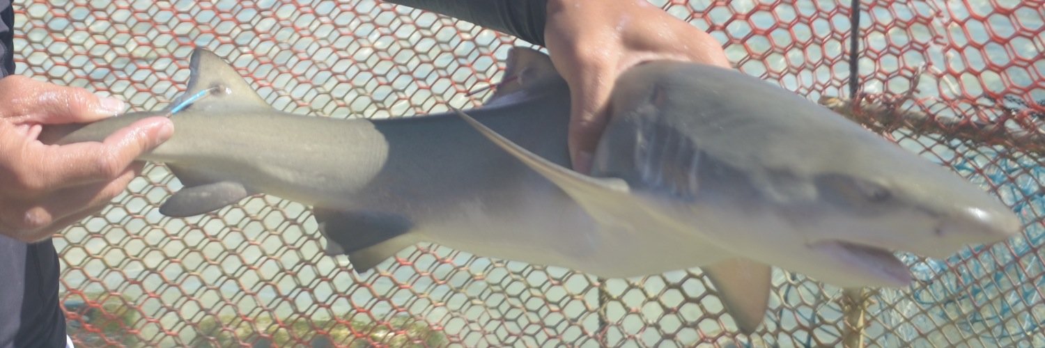 Bryan Keller banner