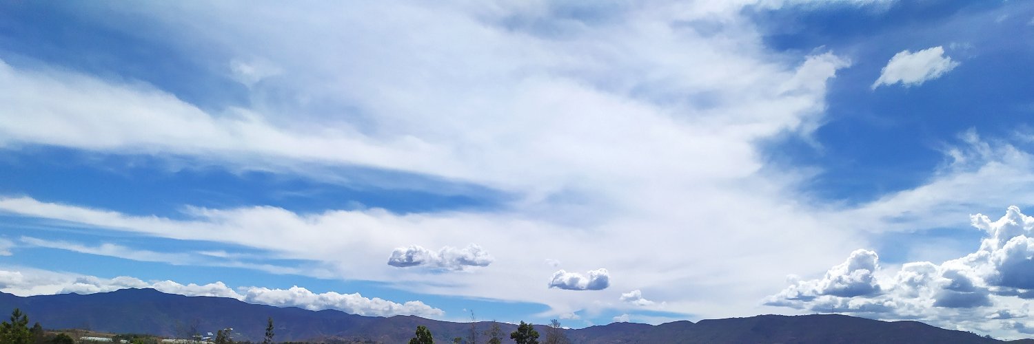 Juan Manuel Alvarado banner