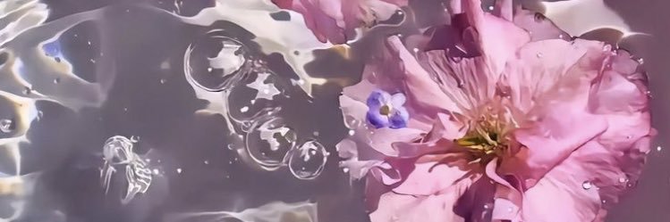 ｲｶｦさん🦑 banner