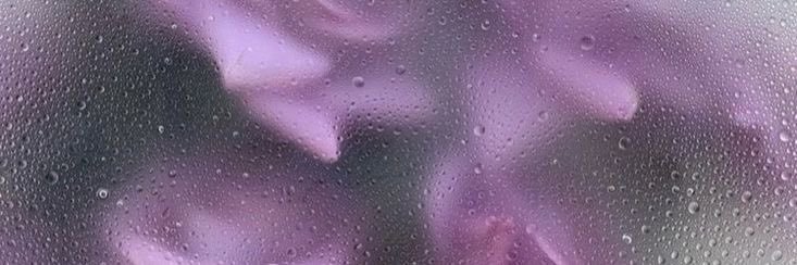 aurora (inactive) banner
