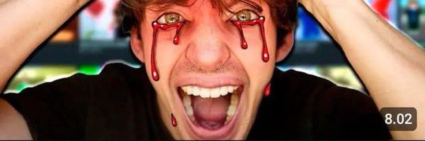 birby_mimi Profile Banner