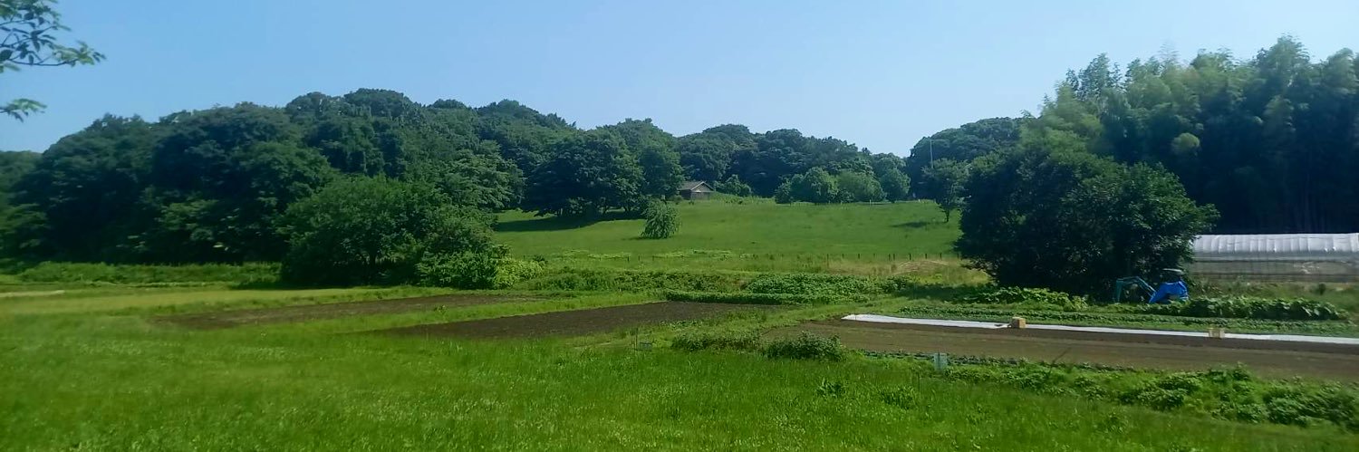 ヤン@無職→再就職 banner