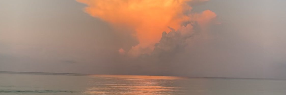 EvanWarden's profile banner image