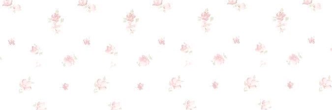 mimi banner