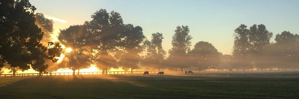 WalkerHancock Profile Banner