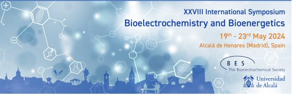 BES2024S Profile Banner