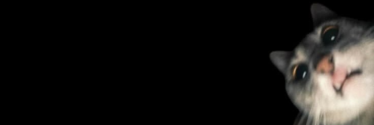 LALO banner