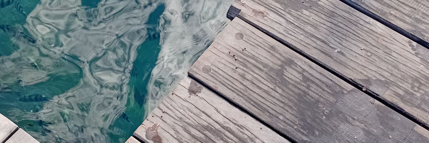 alpukatcherryy's profile banner image