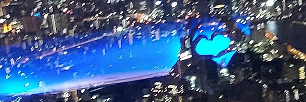 いちは𓆪 banner