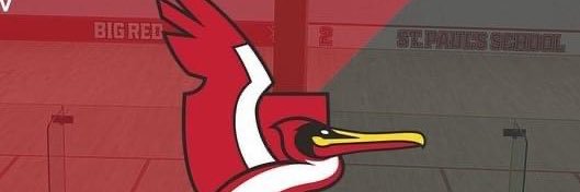 Rod Te Koeti Bannister banner