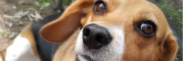 scotts1's profile banner image