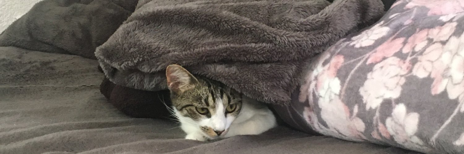 Maria I. Cervantes H. banner