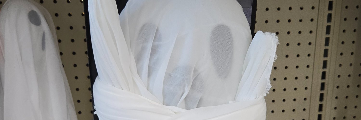 Dovakiin🏳️‍⚧️✡️🍉 banner