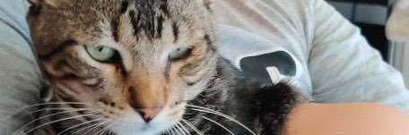 paremiguel's profile banner image