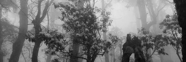 corndaughter Profile Banner