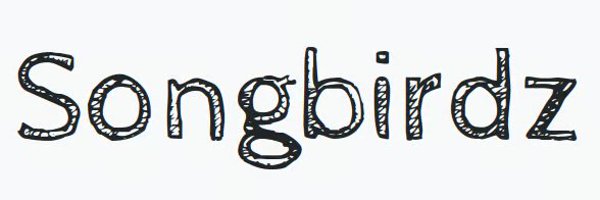 dry_tortuga Profile Banner