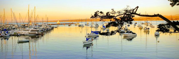 jsalvatella Profile Banner