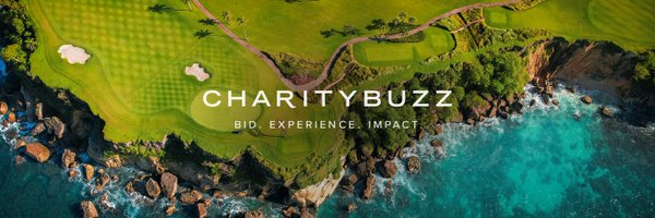 Charitybuzz Profile Banner